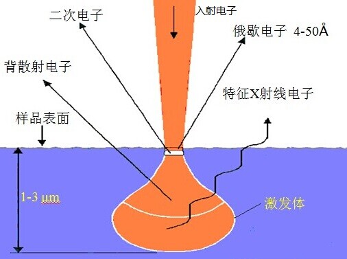 扫描电子显微镜