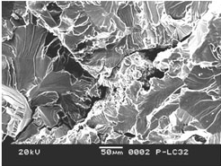 Fracture analysis