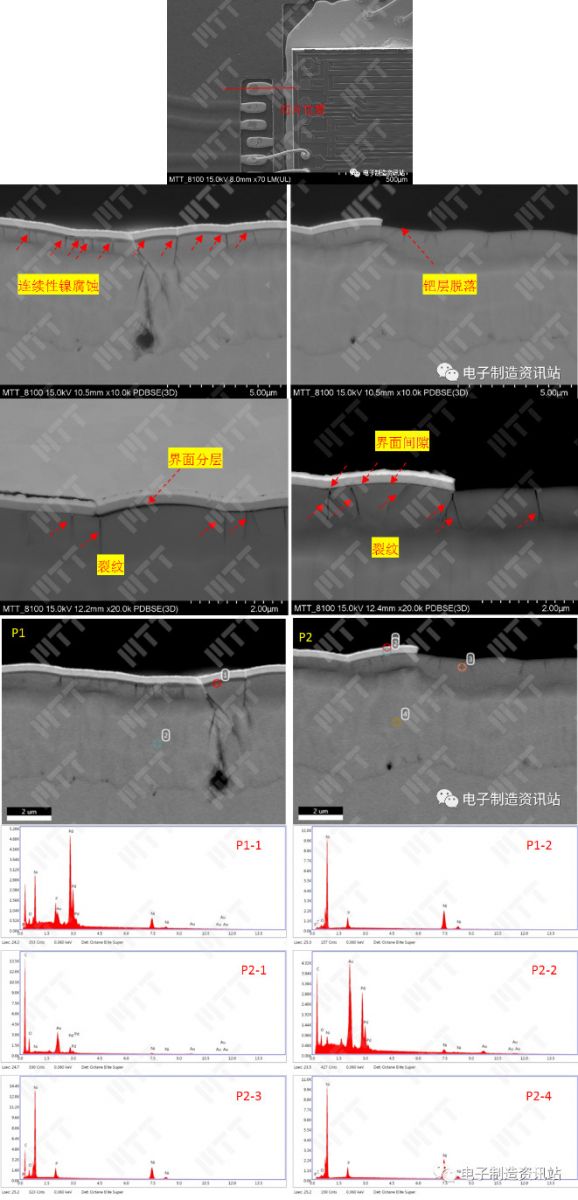 失效样品切片后SEM图片及EDS能谱图