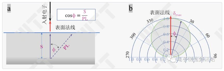 二次电子的角度分布