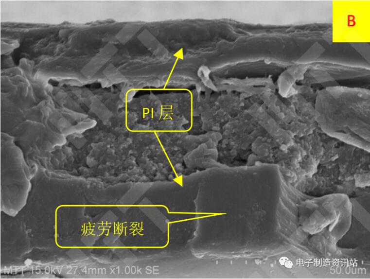 NG FPC断口截面形貌（切片制样）