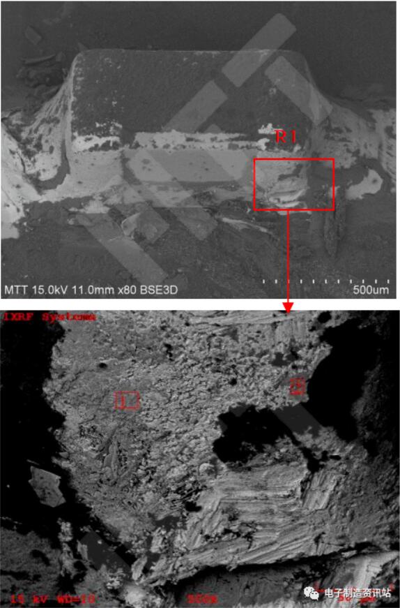 #5失效电池上R1表面SEM图片及EDS能谱图